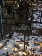 Мошнина Софья Николаевна